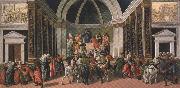 Sandro Botticelli Stories of Virginia (mk36) painting
